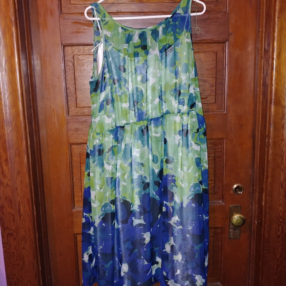 Adrianna Papell dress